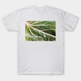 Cabbage Leaf Detail T-Shirt